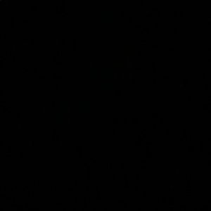 Meet your Posher, Alan